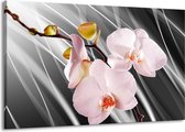 Peinture sur toile Orchidée | Gris, rose, blanc | 140x90cm 1 Liège