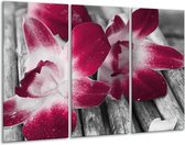 Peinture sur toile Fleur | Rouge, blanc, gris | 120x80cm 3 Liège