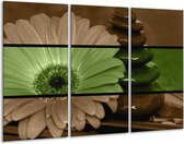 GroepArt - Schilderij -  Bloem - Groen, Bruin - 120x80cm 3Luik - 6000+ Schilderijen 0p Canvas Art Collectie