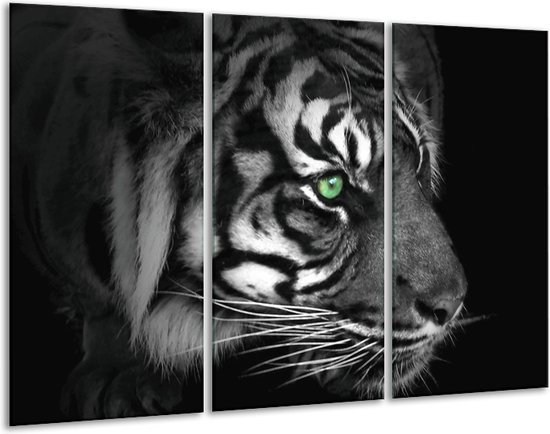 Peinture sur toile Tigre | Blanc, noir, gris | 120x80cm 3 Liège
