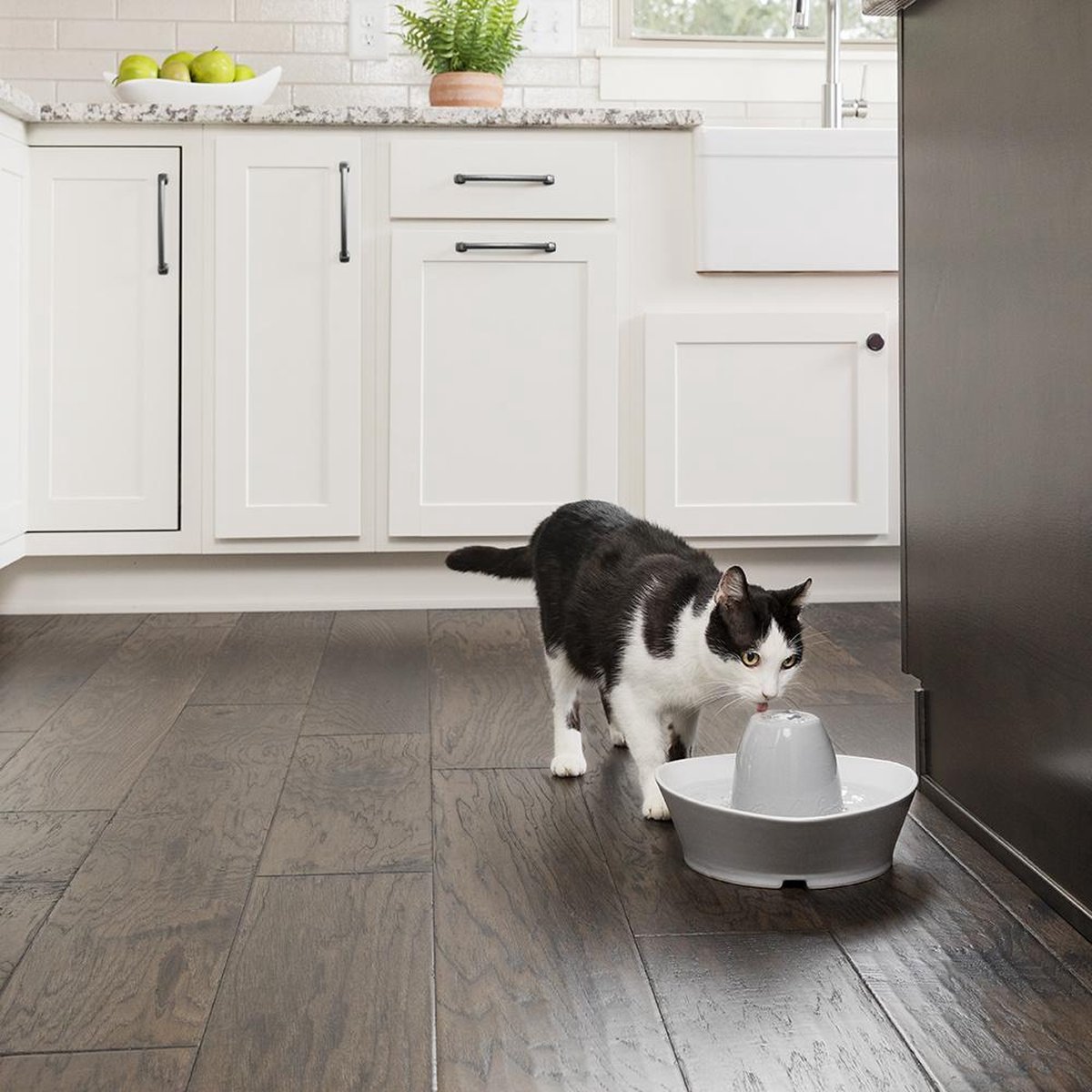 PetSafe Streamside Ceramic Pet Fountain thumbnail 3