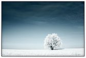 Boom in het sneeuwlandschap - Foto op Akoestisch paneel - 150 x 100 cm