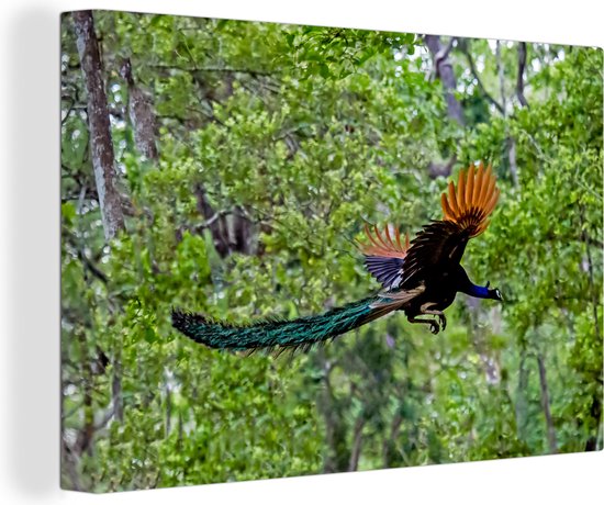 Paon coloré vole à travers les bois Toile 180x120 cm - Tirage photo sur toile (Décoration murale salon / chambre) XXL / Groot format!