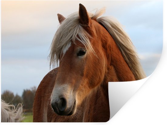 Muurstickers - Sticker Folie - Haflinger paard in het weiland - 160x120 cm - Plakfolie - Muurstickers Kinderkamer - Zelfklevend Behang XXL - Zelfklevend behangpapier - Stickerfolie