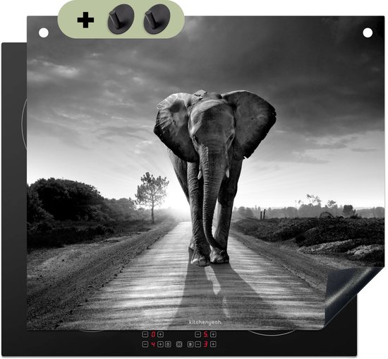 Inductiebeschermer met olifant op een landweg, met haakjes voor bevestiging.