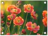 Bloemen, Oranje