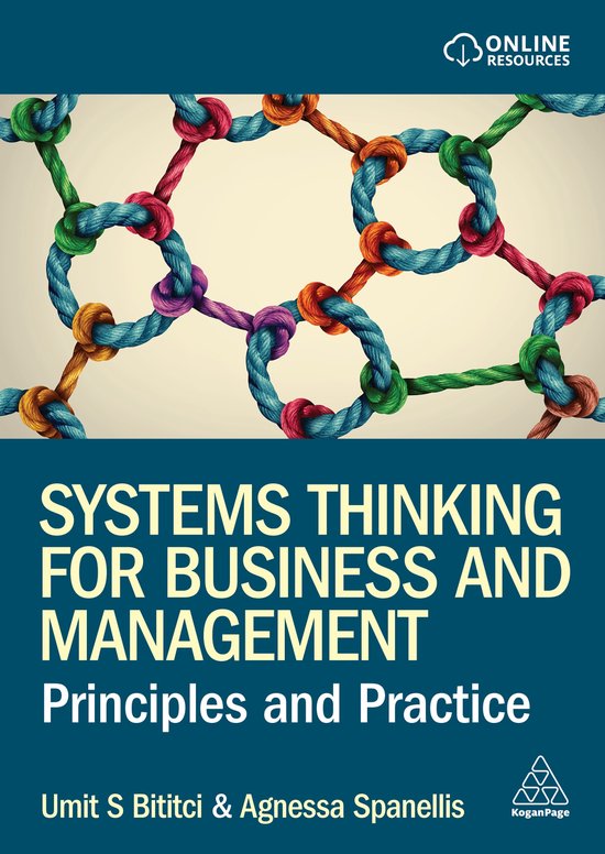 Systems Thinking for Business and Management - cover