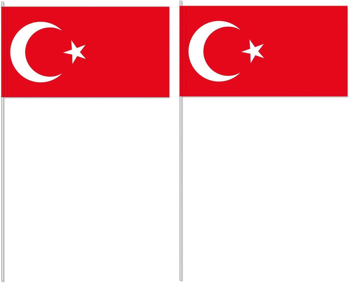 Zwaaivlaggetjes Turkije - 10x - papier - 12x24 cm - vlag op stokje - feest