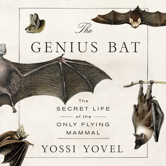 The Genius Bat - cover