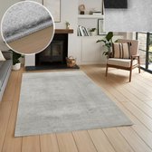 Tapis à poils ras - Argent / Gris clair - Design uni - Tapis lavable pour salon - 120 x 170 cm
