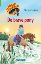 Manege de Zonnehoeve - De brave pony
