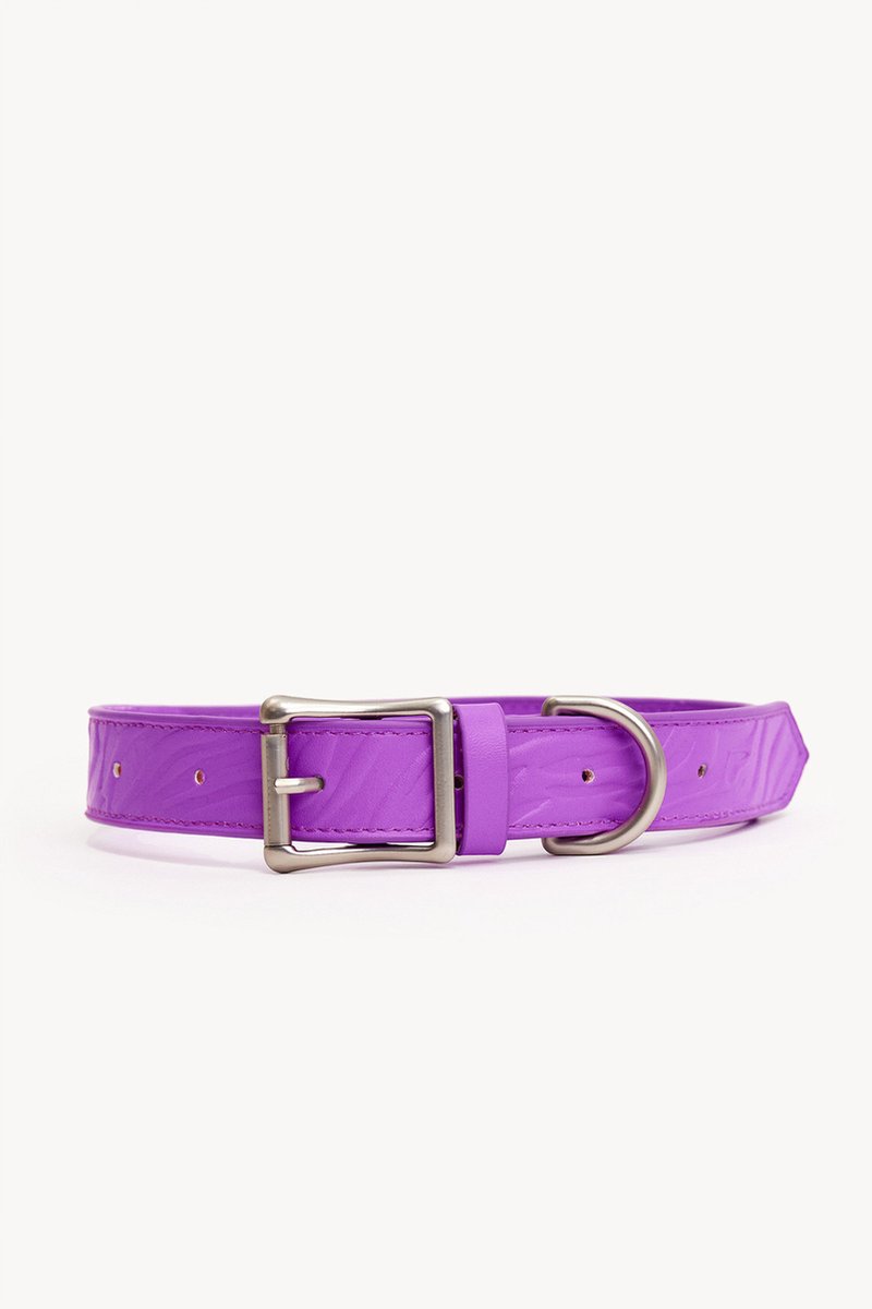 Dogguo Zebra Collar - Hondenhalsband - Paars