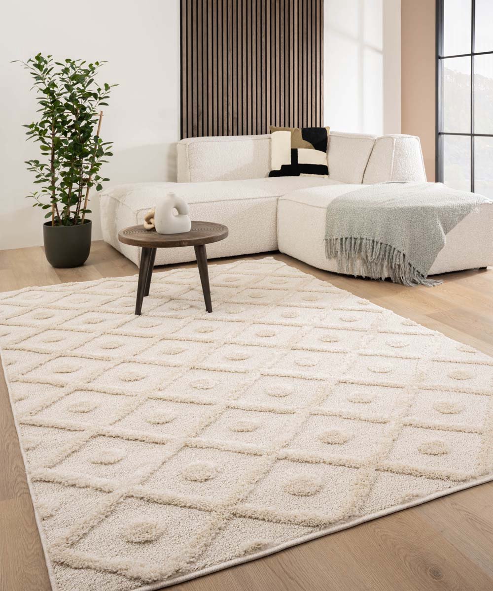 Tapeso Scandinavisch vloerkleed - Arc Diamond crème 240x340