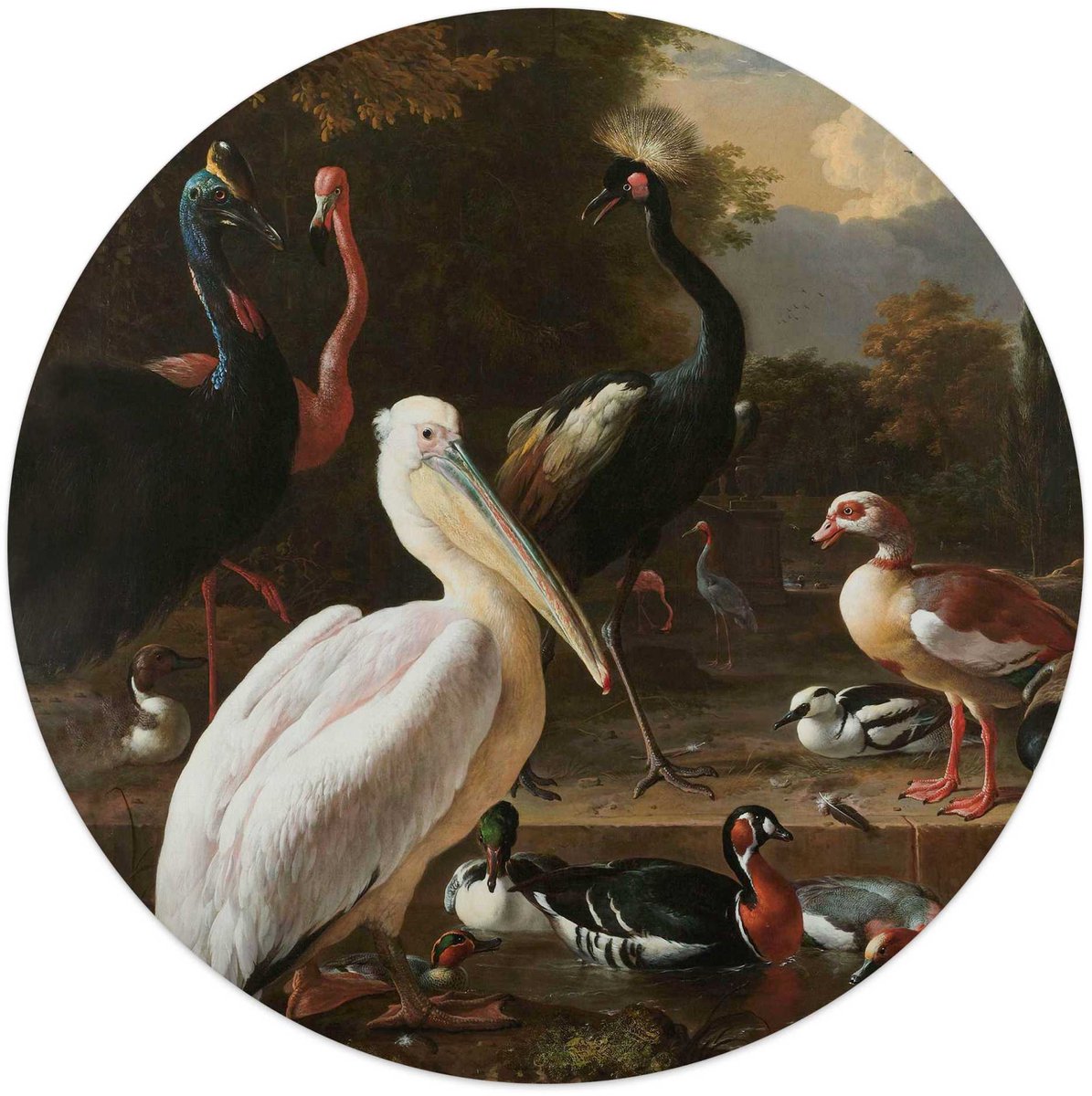 Glasschilderij d'Hondecoeter - de Pelikaan - Ø 50 - Glas - REINDERS