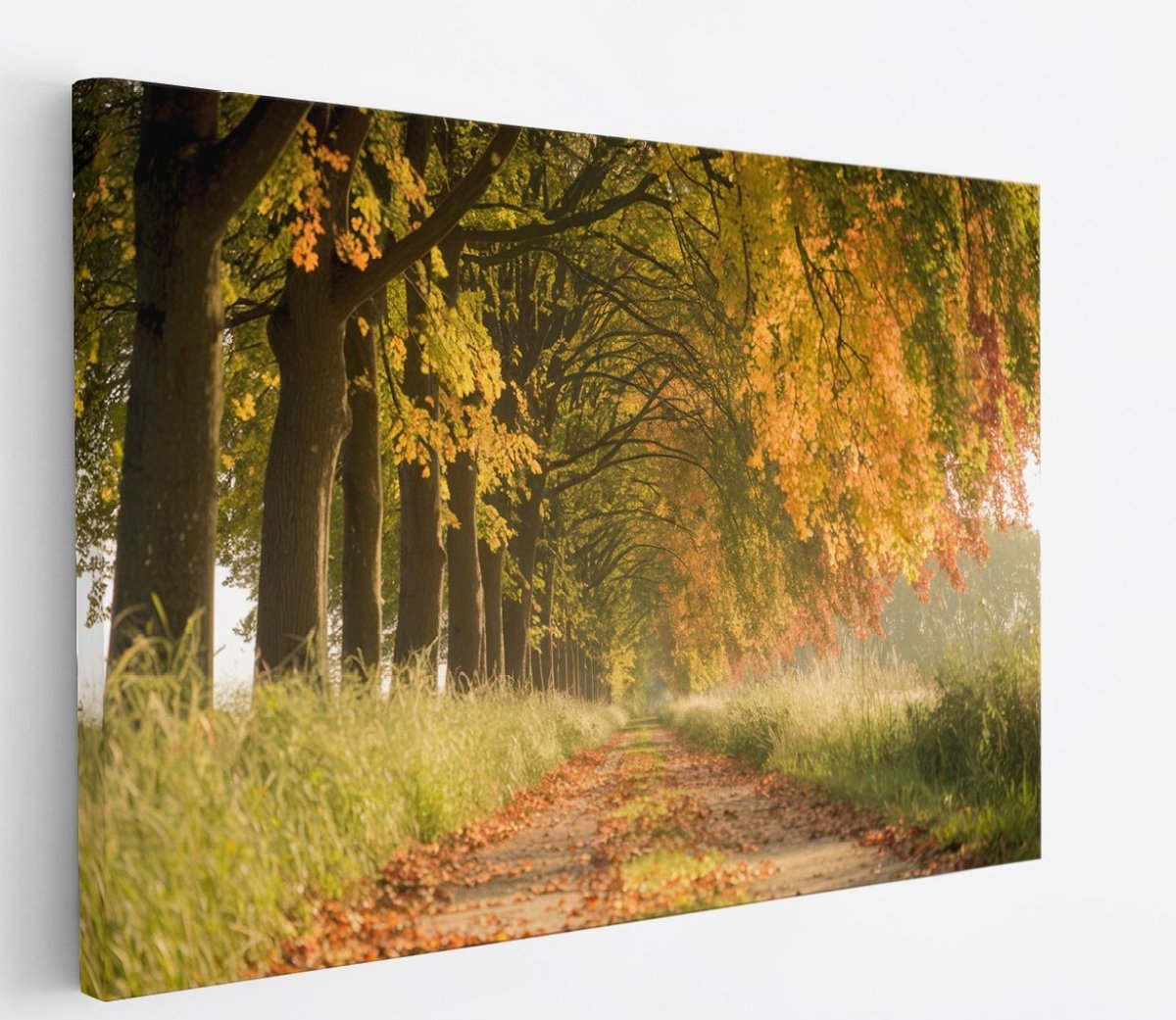 Saammp Canvas Schilderij - Bospad - Nederland - Landschap - Natuur - 45x30 - Foto op canvas - Wanddecoratie - Muurdecoratie Woonkamer - Slaapkamer decoratie - Canvas Print Multicolor
