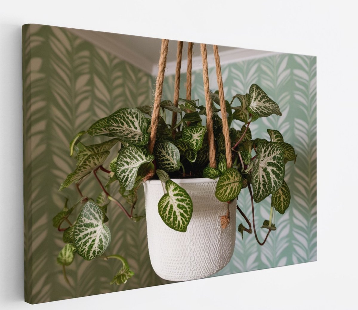 Saammp Canvas Schilderij - Hangende Kamerplant - Natuur - Abstract - 70x50 - Foto op canvas - Wanddecoratie - Muurdecoratie Woonkamer - Kantoor Decoratie Multicolor