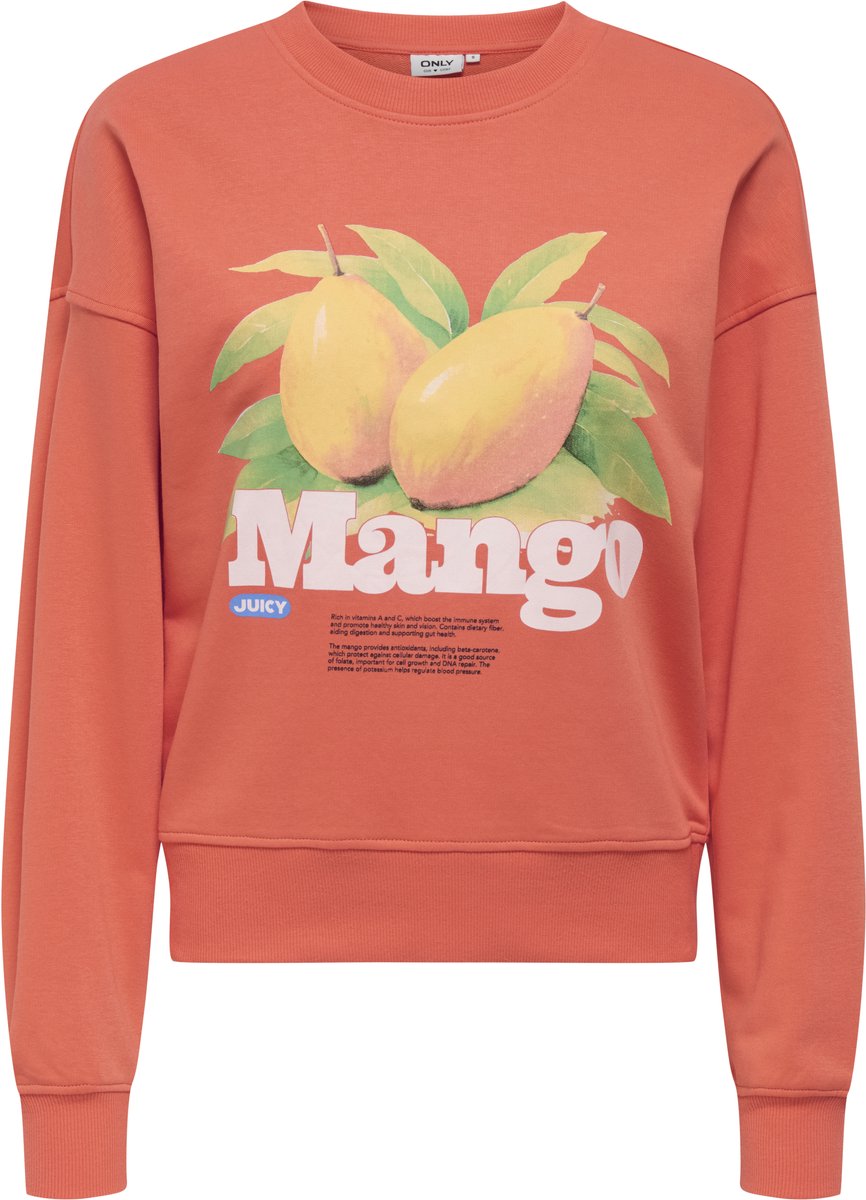 Only Philea Fruit Sweater Dames - Maat S