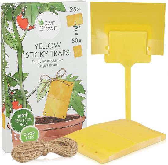 Insectenvanger - 10 stuks - Mooie Planten Kopen Doe Je Voordelig In De Plant Shop