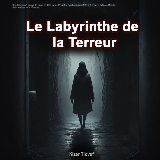 Le Labyrinthe de la Terreur - cover
