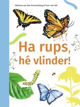 ik lees informatief - Ha rups, hé vlinder!