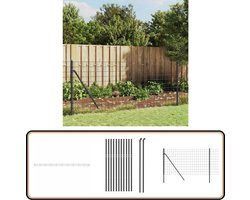 vidaXL Draadgaashek 0,8x25 m - Antraciet Staal Draadgaas Omheining - Privacy Scherm - Tuinhek - Schutting - Metalen Hek