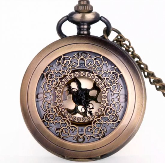 REGENT Dames omhanghorloge zakhorloge met 70 cm ketting 24 mm diameter kwarts witte wijzerplaat Arabische cijfers in verschillende varianten, zilver, Klassiek