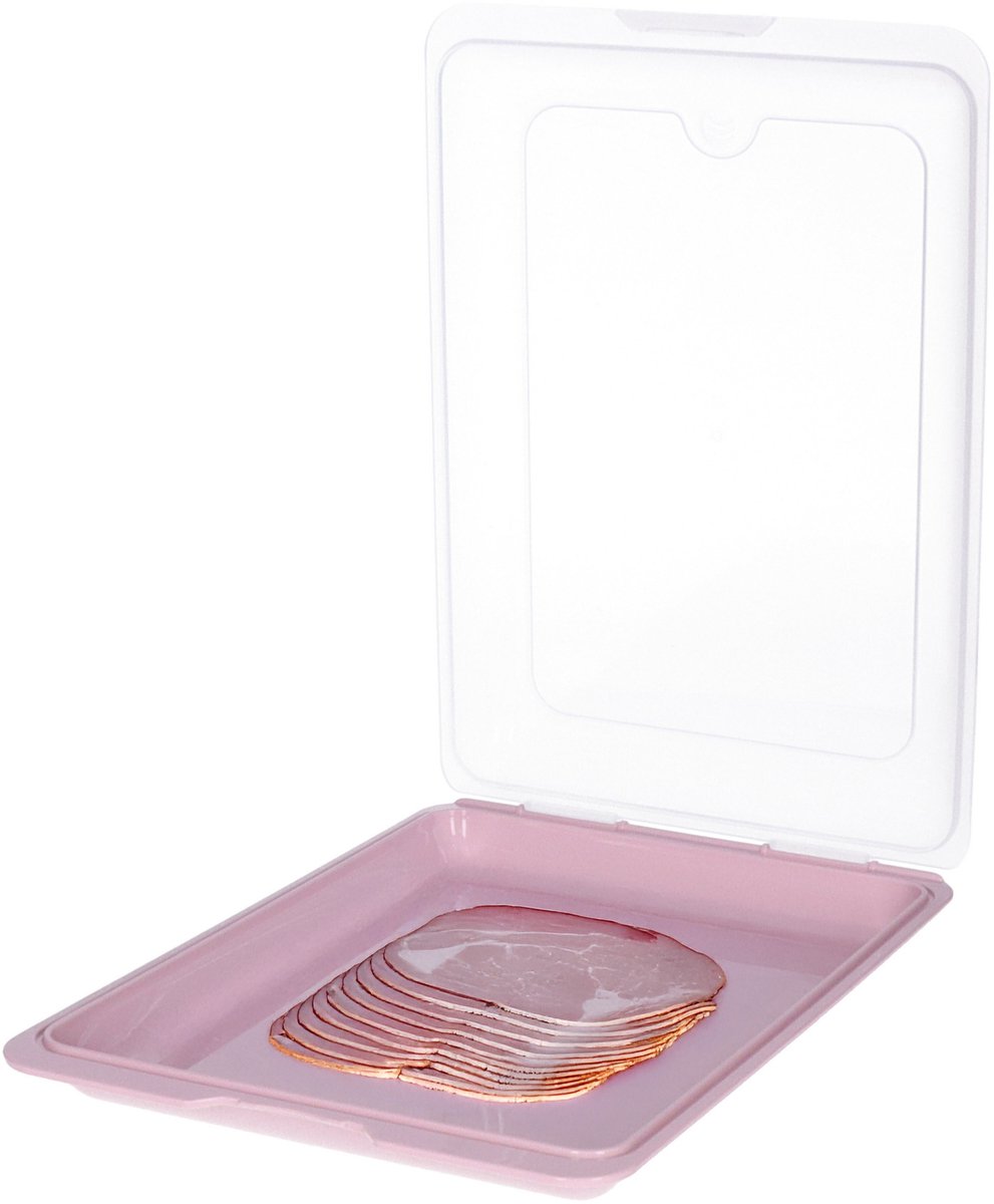 Toyma Vleeswarendoos - roze - kunststof - 24,5 x 17 x 4 cm - vershouddoos / kaasdoos