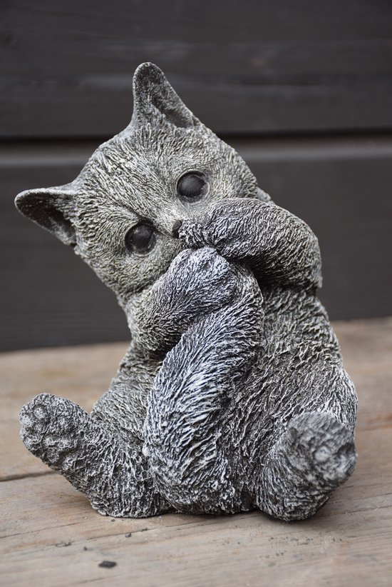 Grijs kattenbeeldje ligt op zijn rug en speelt met zijn pootjes voor zijn gezicht.