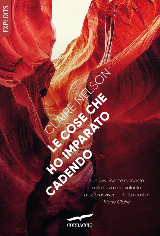 Le cose che ho imparato cadendo - cover