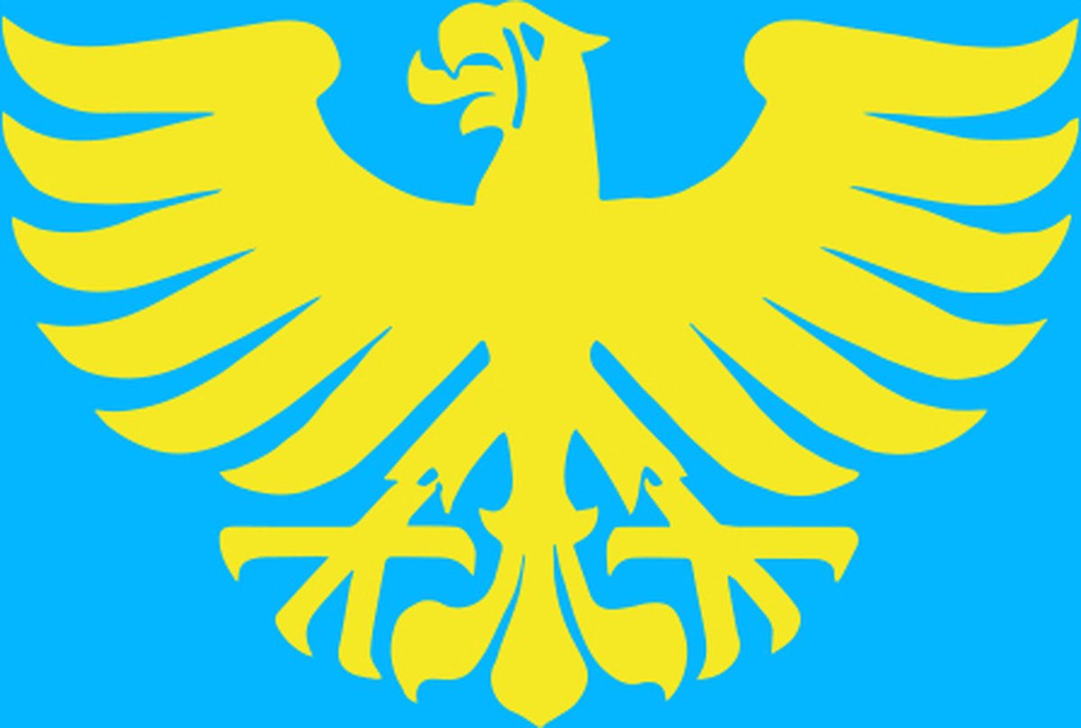 Vlag Arendonk 120x180cm