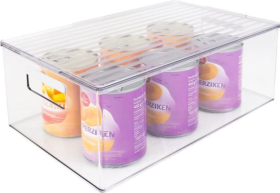 Boîte de Rangement So Clever Classic Transparent - 9,5 x 31,5 x 6,5 cm (XS)