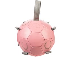 Paarden speelbal