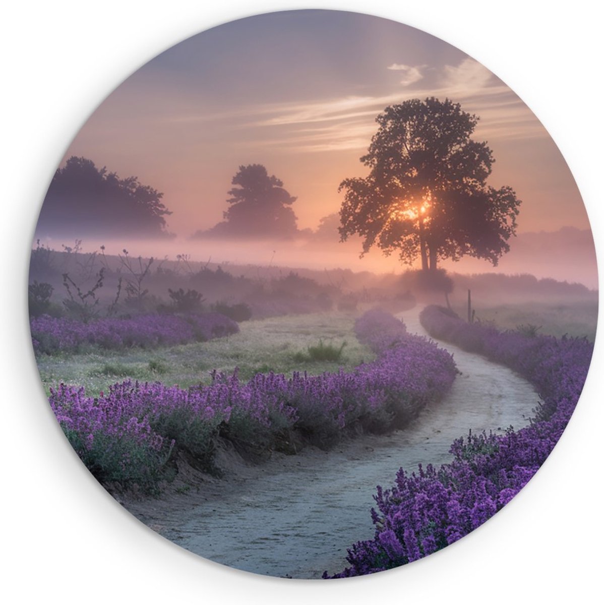 Saammp Muurcirkel Hout - Lavendelveld met mist - Natuur - Landschap - Ø 50 - Wandcirkel - Wanddecoratie Cirkel - Muurdecoratie Woonkamer - Slaapkamer decoratie - Rond Schilderij