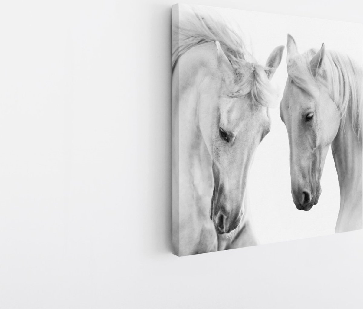 Saammp Canvas Schilderij - 2 Paarden - Liefdevol - Natuur - Dieren - 60x60 - Foto op canvas - Wanddecoratie - Muurdecoratie Woonkamer - Slaapkamer decoratie - Canvas Print Multicolor