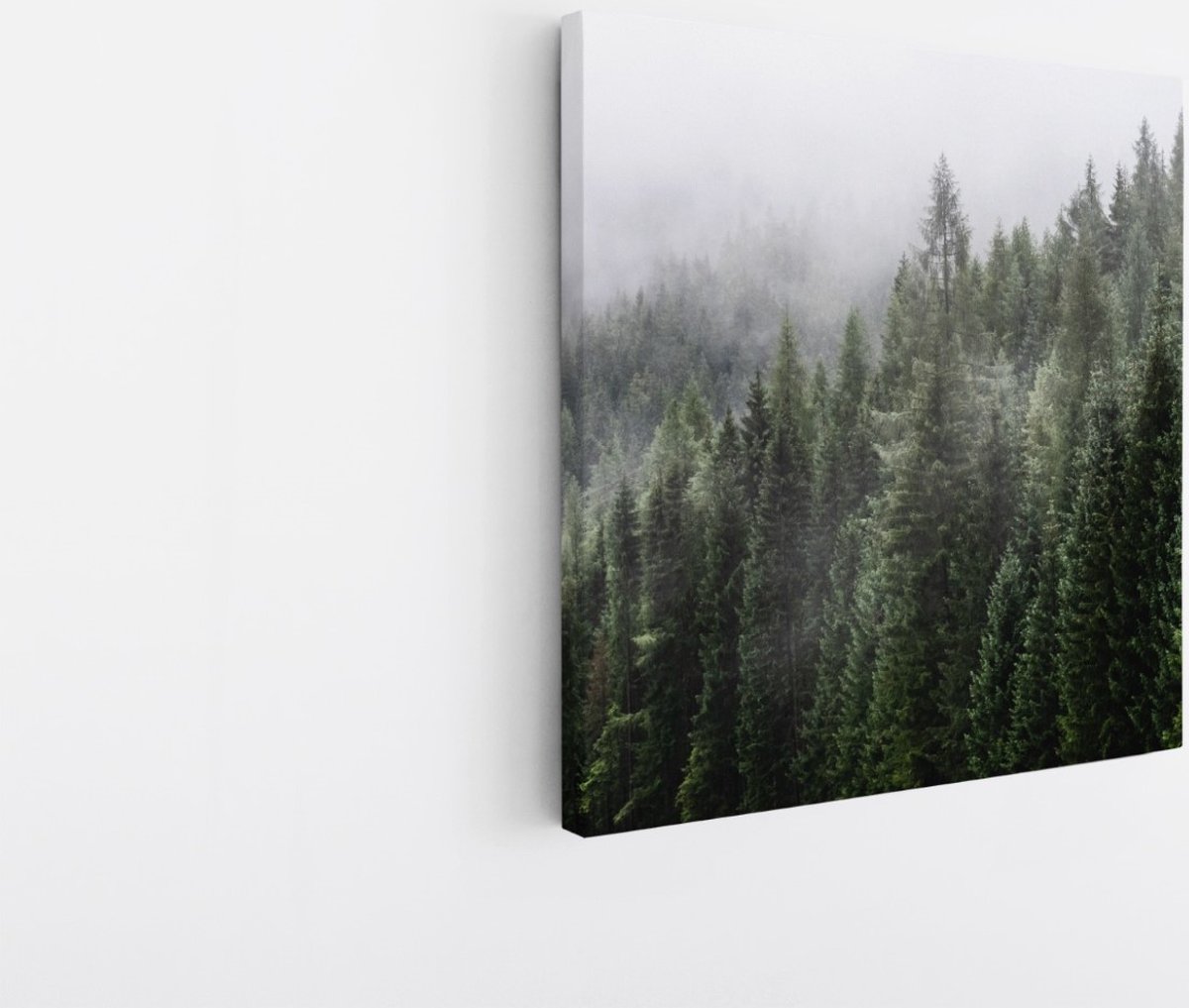 Saammp Canvas Schilderij - Naaldbomen tussen de mist - Landschap - Natuur - 60x60 - Foto op canvas - Wanddecoratie - Muurdecoratie Woonkamer - Slaapkamer decoratie - Canvas Print