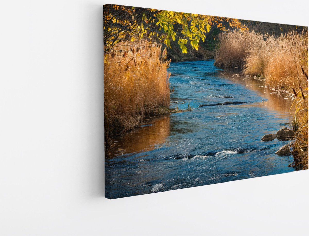 Saammp Canvas Schilderij - Beek - Landschap - Natuur - 40x30 - Foto op canvas - Wanddecoratie - Muurdecoratie Woonkamer - Slaapkamer decoratie - Canvas Print Multicolor