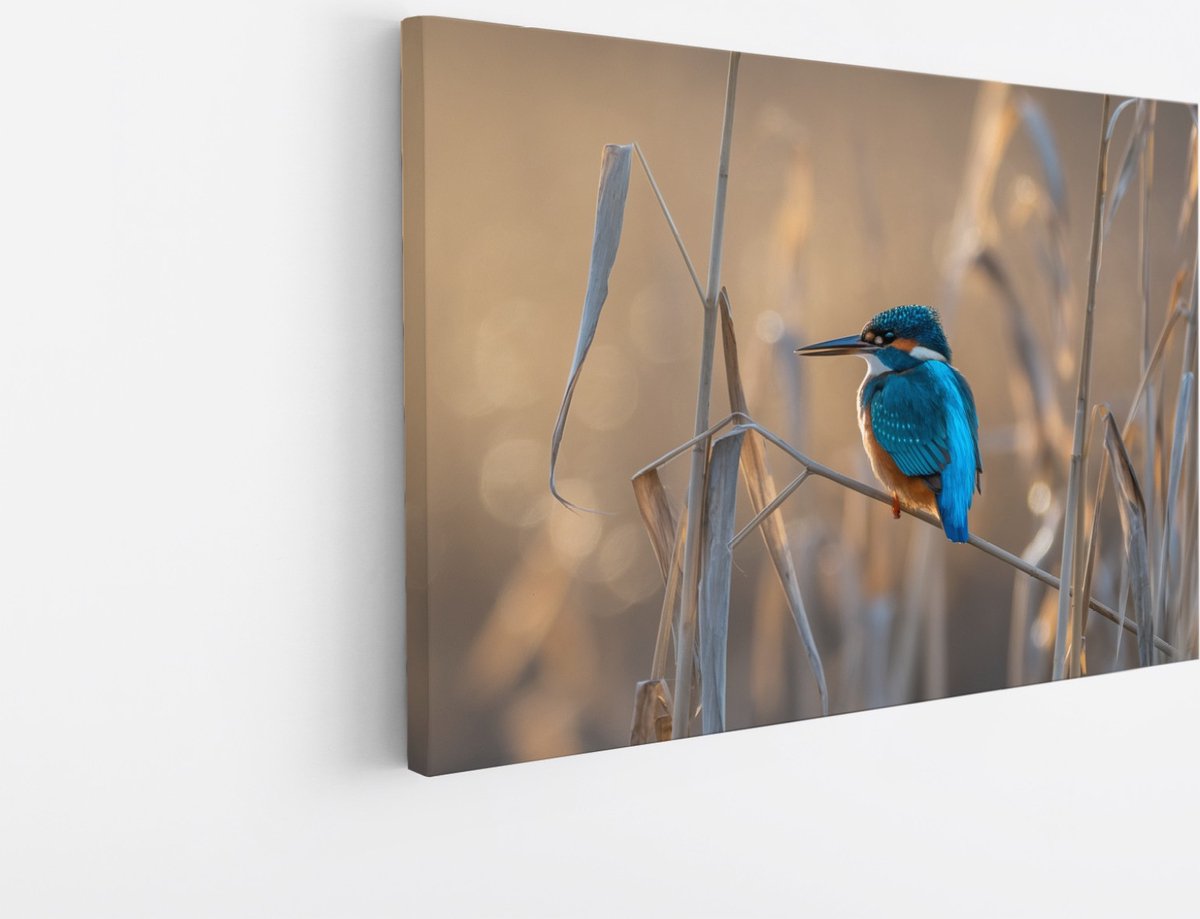 Saammp Canvas Schilderij - Vogel op tak - Dieren - Bloemen - 60x40 - Foto op canvas - Wanddecoratie - muurdecoratie Woonkamer - Slaapkamer decoratie - Canvas Print Multicolor