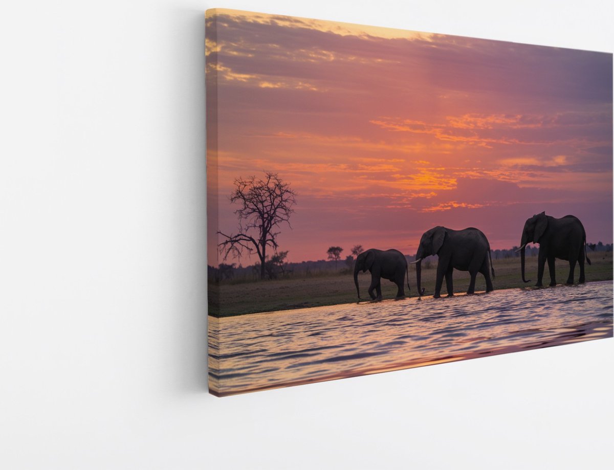 Saammp Canvas Schilderij - Olifanten in de zonsondergang - Afrika - Dieren - 60x40 - Foto op canvas - Wanddecoratie - muurdecoratie Woonkamer - Slaapkamer decoratie - Canvas Print Multicolor