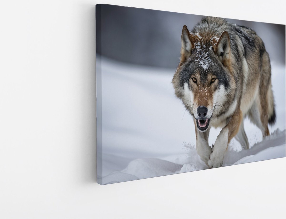 Saammp Canvas Schilderij - Wolf in de sneeuw - Winter - Dieren - Natuur - 45x30 - Foto op canvas - Wanddecoratie - muurdecoratie Woonkamer - Slaapkamer decoratie - Canvas Print Multicolor