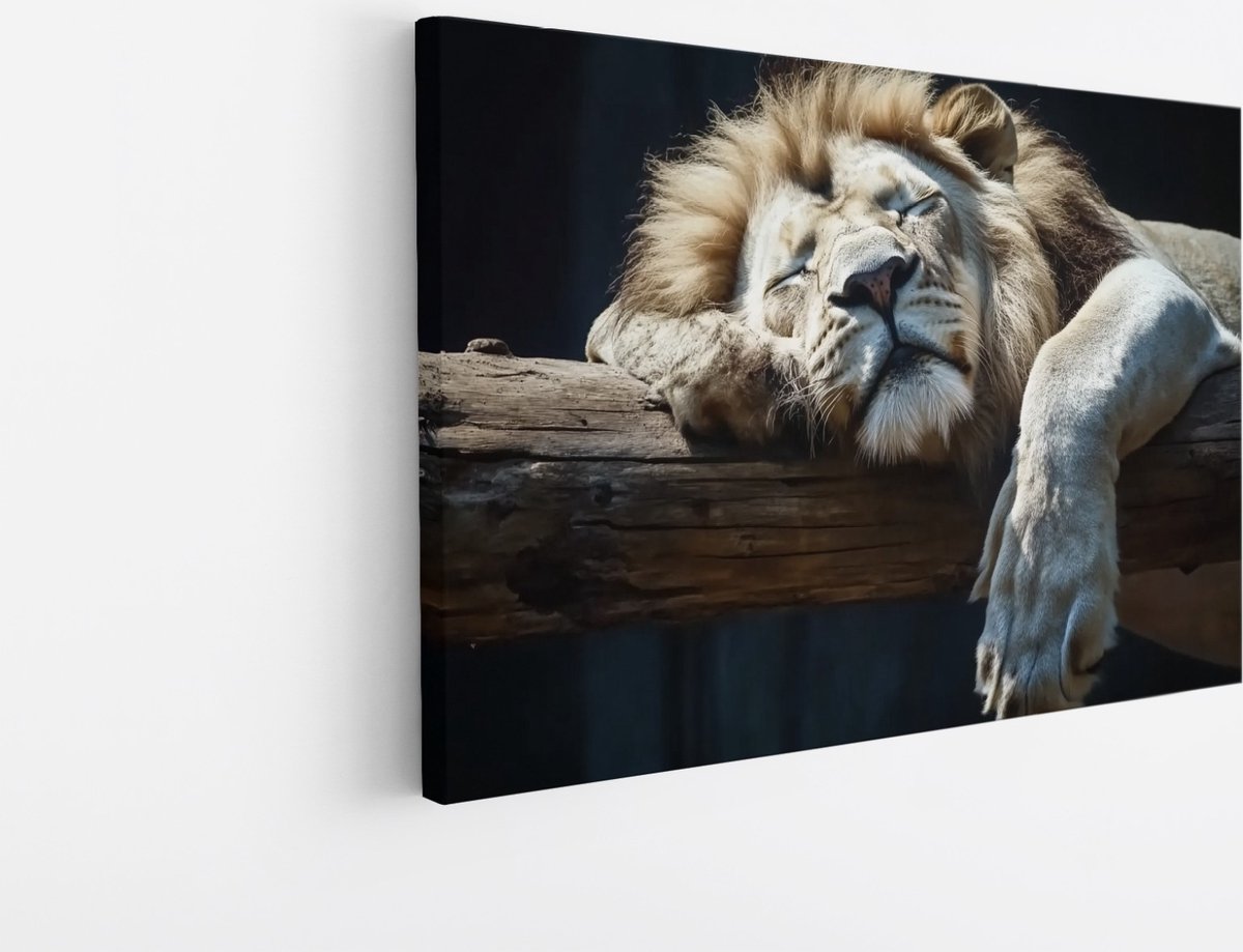 Saammp Canvas Schilderij - Slapende Leeuw op boomstronk - Dieren - Natuur - 45x30 - Foto op canvas - Wanddecoratie - Muurdecoratie Woonkamer - Slaapkamer decoratie - Canvas Print Multicolor