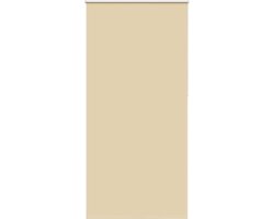 vidaXL - Rolgordijn - verduisterend - 105x210 - cm - stofbreedte - 100,7 - cm - beige