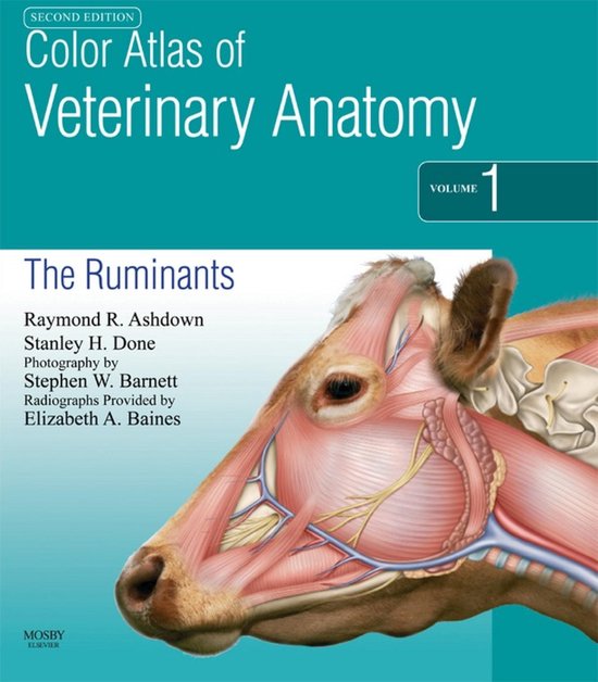 Color Atlas Of Veterinary Anatomy, Volume 1, The Ruminants E ... - cover