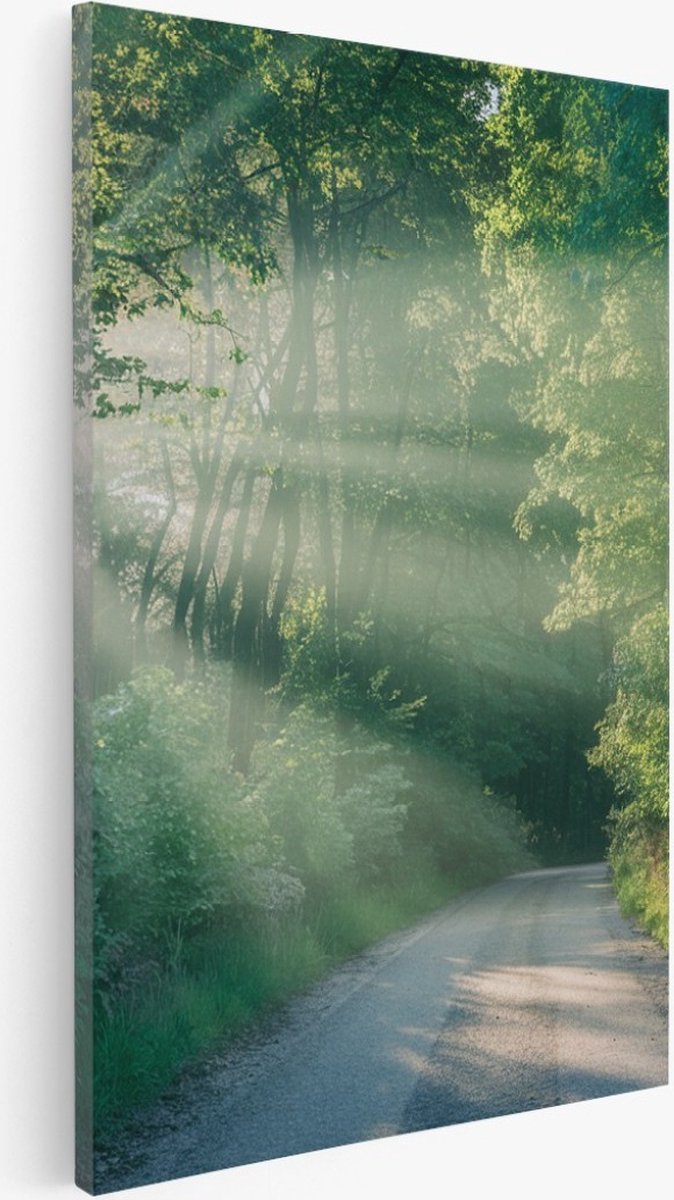 Saammp Canvas Schilderij - bos - Pad met zonsondergang - Landschap - Natuur - 60x90 - Foto op canvas - Wanddecoratie - Muurdecoratie Woonkamer - Slaapkamer decoratie - Canvas Print Multicolor