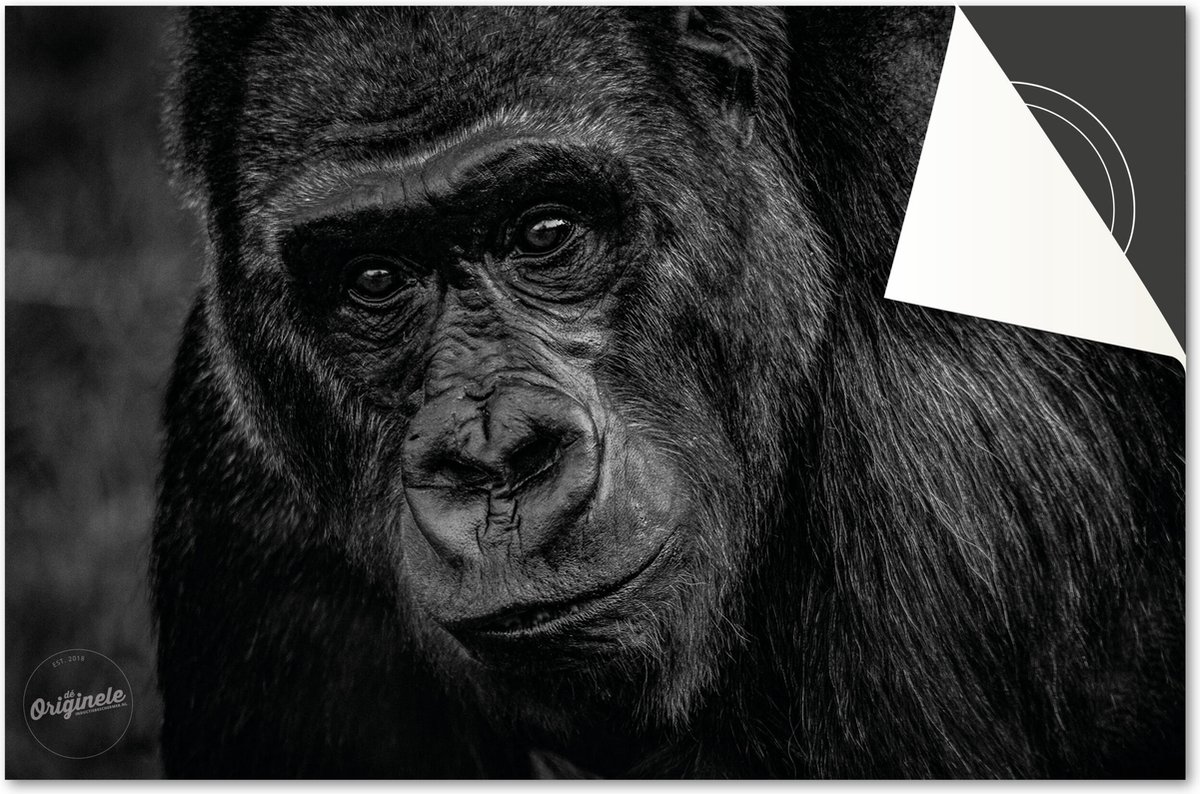 Inductie beschermer 65x52 - afdekplaat inductie mat - Dietrix Kookplaat beschermer - DELUXE - Dieren Gorilla Zwart