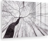 MuchoWow® Glasschilderij 60x40 cm - Schilderij acrylglas - Boom - Takken - Bladeren - Mist - Foto op glas - Muurdecoratie woonkamer - Wanddecoratie slaapkamer - Schilderijen