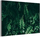 Décoration murale Métal - Peinture Aluminium Industriel - Feuilles - Jungle - Nature - Tropical - Plantes - 180x120 cm - Dibond - Photo sur aluminium - Décoration murale industrielle - Pour le salon/chambre