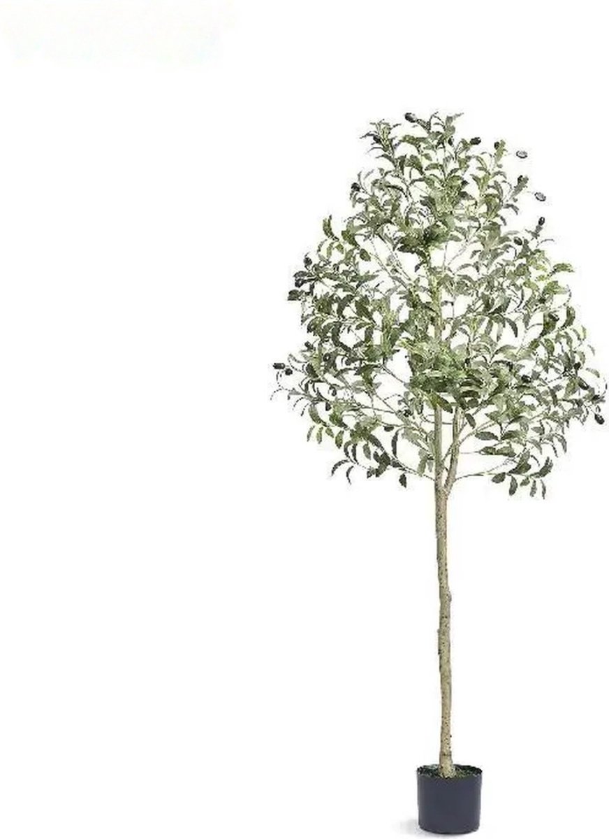 Kunstmatige Olijfboom - Nep Olijfboom - 155 cm Hoog - PE Materiaal - Realistische Details - Onderhoudsvrij - Inclusief Pot