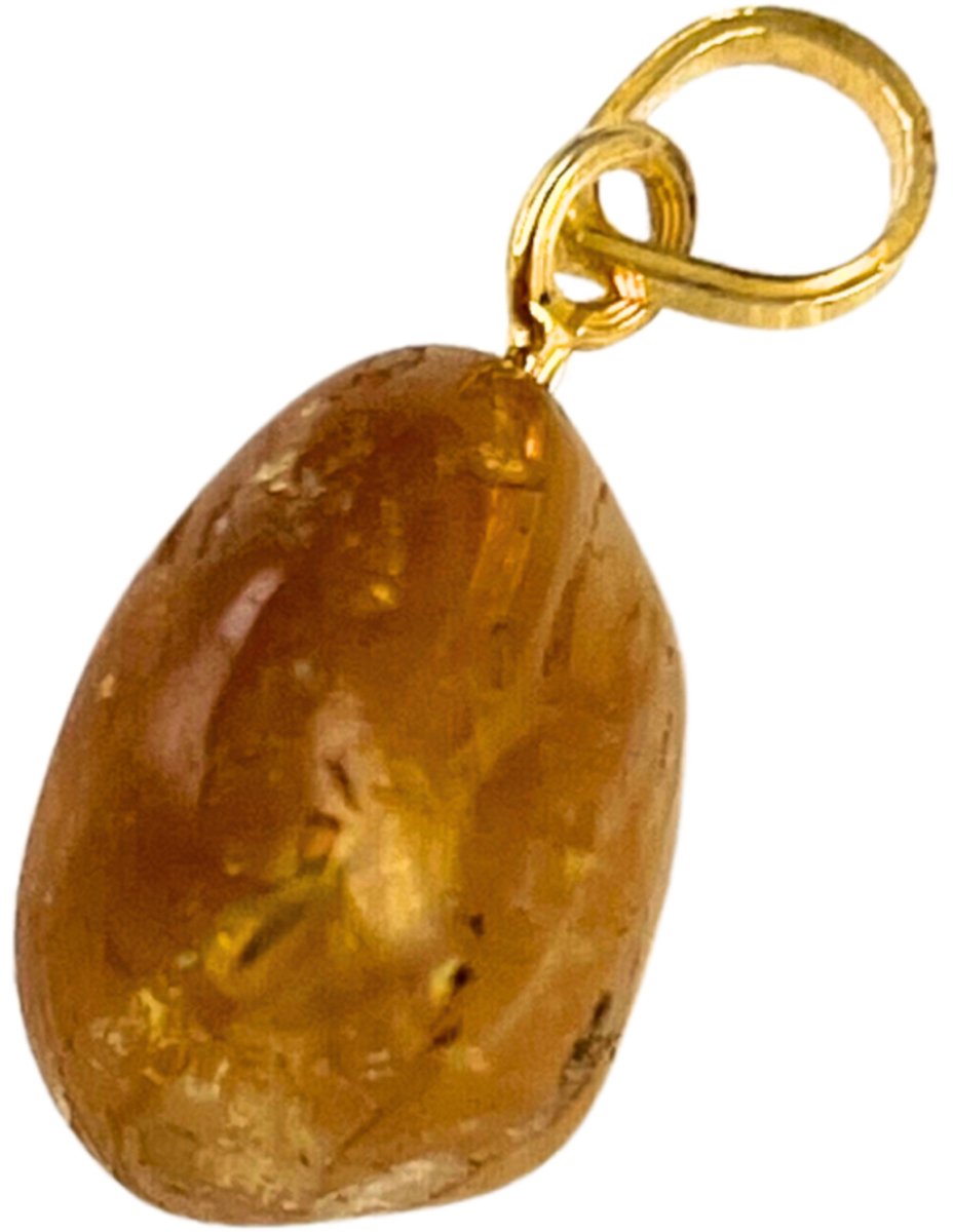 Citrien geboorde hanger verguld