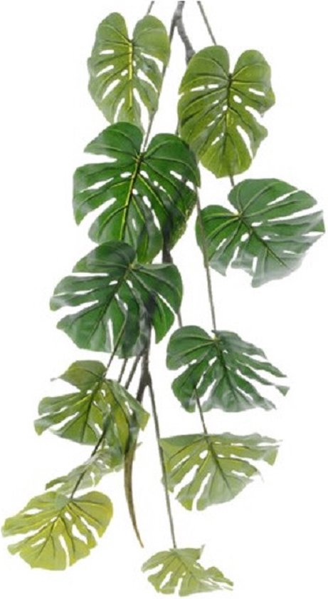 Groene Monstera/gatenplant kunstplant slinger 180 cm