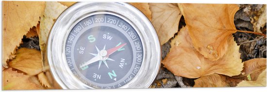 WallClassics - Acrylglas - Traditioneel Kompas op Stapel Herfstbladeren - 120x40 cm Foto op Acrylglas (Wanddecoratie op Acrylaat)